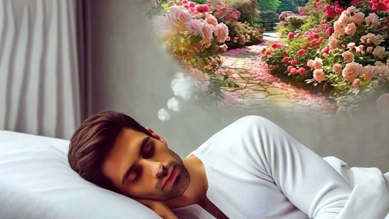 स्वप्नात स्वत:ला चालताना पाहणे शुभ आहे की अशुभ? जाणून घ्या स्वप्नात स्वत:ला चालताना पाहणे शुभ आहे की अशुभ? जाणून घ्या