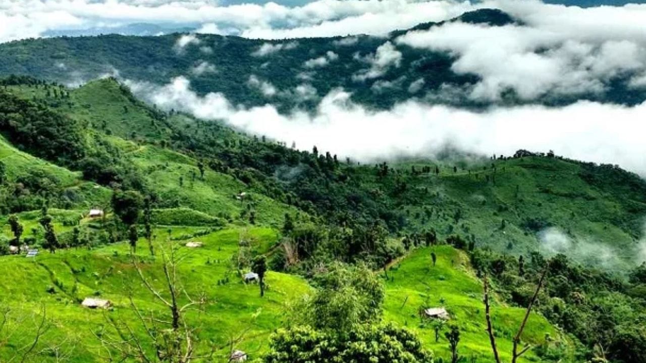 नागामीज बोली: जरी अधिकृत भाषा इंग्रजी असली, तरी लोक आपापसात संवाद साधण्यासाठी 'नागामीज' ही बोलीभाषा वापरतात. ही भाषा आसामी, बंगाली आणि हिंदी यांचे मिश्रण आहे, परंतु ती अधिकृत कामात वापरली जात नाही.