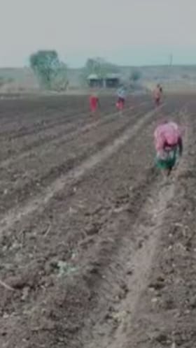 नंदुरबार जिल्ह्यात खराब हवामानामुळे रब्बीच्या पेरण्या रखडल्या.