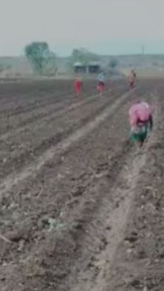 नंदुरबार जिल्ह्यात खराब हवामानामुळे रब्बीच्या पेरण्या रखडल्या