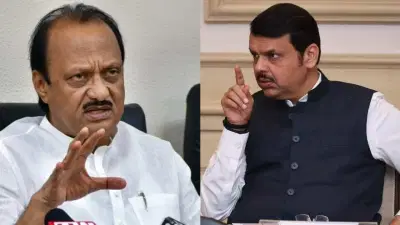 जरा समजून घ्या दादा, ते रागावले म्हणून... देवेंद्र फडणवीस यांनी अजितदादांना पिंपरी-चिंचवडमध्येच सुनावलं