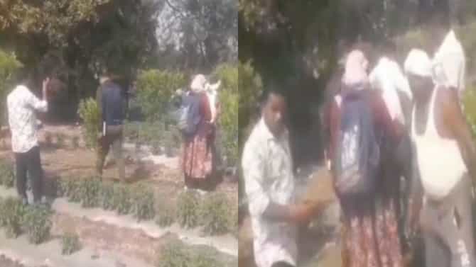 जगाच्या पोशिंद्यावर हल्ला, अधिकाऱ्याची शेतकऱ्याला बुटाने मारहाण, व्हायरल Video ने महाराष्ट्रात खळबळ