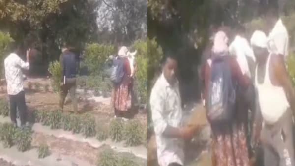जगाच्या पोशिंद्यावर हल्ला, अधिकाऱ्याची शेतकऱ्याला बुटाने मारहाण, व्हायरल Video ने महाराष्ट्रात खळबळ