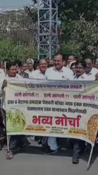 चीन, अफगाणिस्तानवरून आयात होणाऱ्या बेदाण्याविरोधात शेतकऱ्यांचा मोर्चा