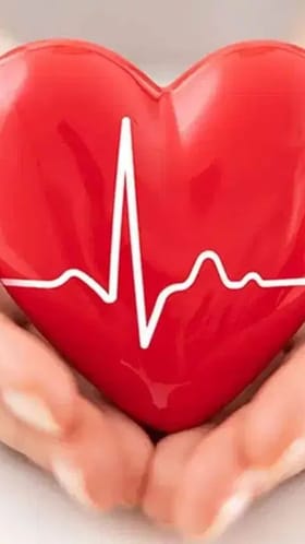 रोजच्या बिझी शेड्यूलमध्ये अशी घ्या तुमच्या हृदयाची काळजी!.