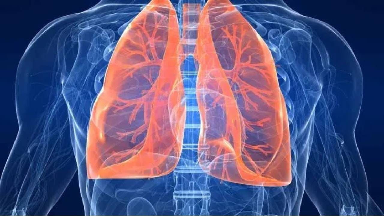 रोगप्रतिकारक शक्ती वाढवण्यासाठी सर्वात महत्वाचे आंबट पदार्थ ठरतात. लिंबू, संत्री यासारख्या गोष्टींमध्ये मोठ्या प्रमाणात रोगप्रतिकारक शक्ती वाढवणारे घटक असतात. 