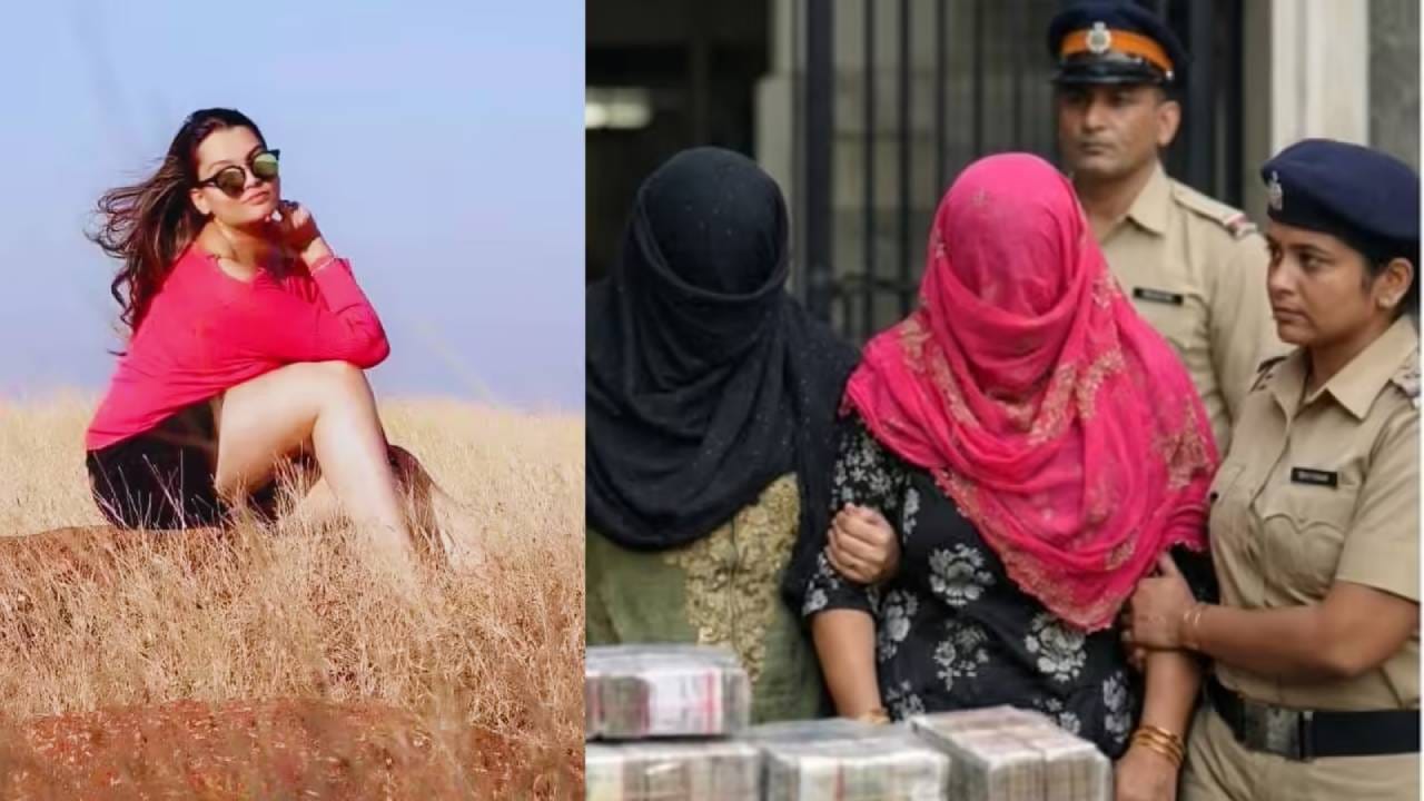 हे प्रकरण मूळचे एका मारहाणीच्या घटनेपासून सुरू झाले. गेल्या महिन्यात गोरेगाव परिसरातील एका लिफ्टमध्ये अमरिना झवेरी हिच्यासोबत गैरवर्तन आणि मारहाण झाल्याची तक्रार दाखल झाली होती. अमरिना गर्भवती असल्याने या मारहाणीत तिचा गर्भपात झाल्याचा गंभीर आरोप आहे. या प्रकरणात व्यावसायिक अरविंद गोयल यांचा मुलगा रिदम गोयल याला अटक करण्यात आली होती. सत्र न्यायालयाने त्याला जामीन दिला, परंतू अमरिनाच्या हस्तक्षेप अर्जानंतर मुंबई उच्च न्यायालयाने तो जामीन रद्द केला.