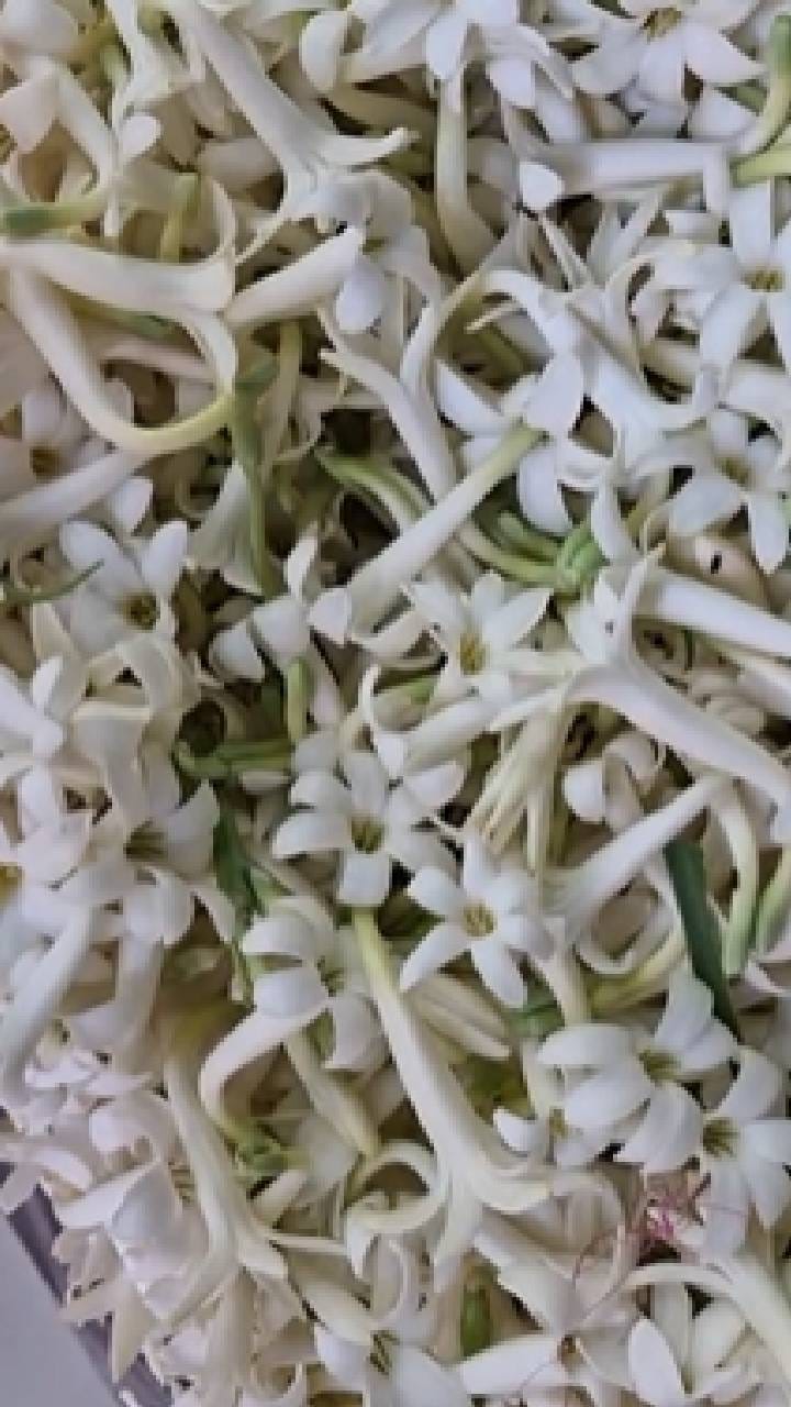 जळगावच्या भुसावळ फुल मार्केटला मोठी तेजी