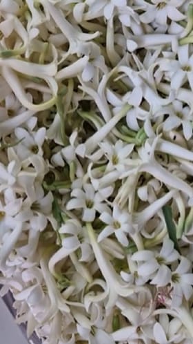 जळगावच्या भुसावळ फुल मार्केटला मोठी तेजी.