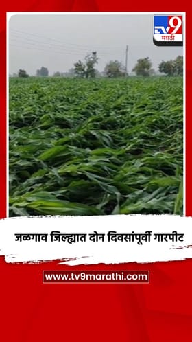 जळगाव जिल्ह्यात दोन दिवसांपूर्वी गारपीट.