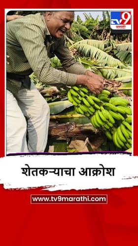 Raver : लहरी निसर्गसमोर बळीराजा हतबल, गारपिटीमुळे शेतकऱ्यांचं लाखोंचं नुकसान.