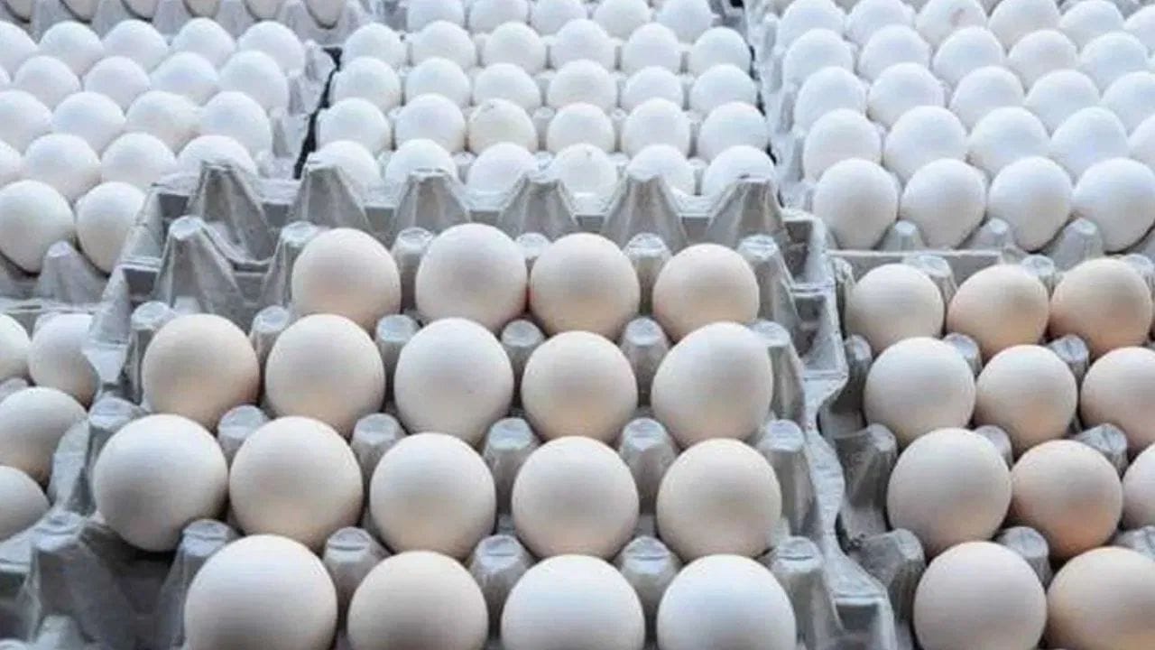 अंड्याचे कवच अंड्याला बॅक्टेरियापासून रक्षण करते म्हणून ती जास्त दिवस टिकतात.