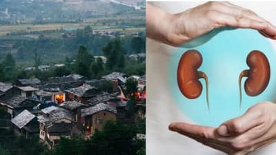 असं एक गाव जिथे सर्वच लोकांना आहे एकच किडनी, कारण ऐकून तुम्हालाही बसेल धक्का