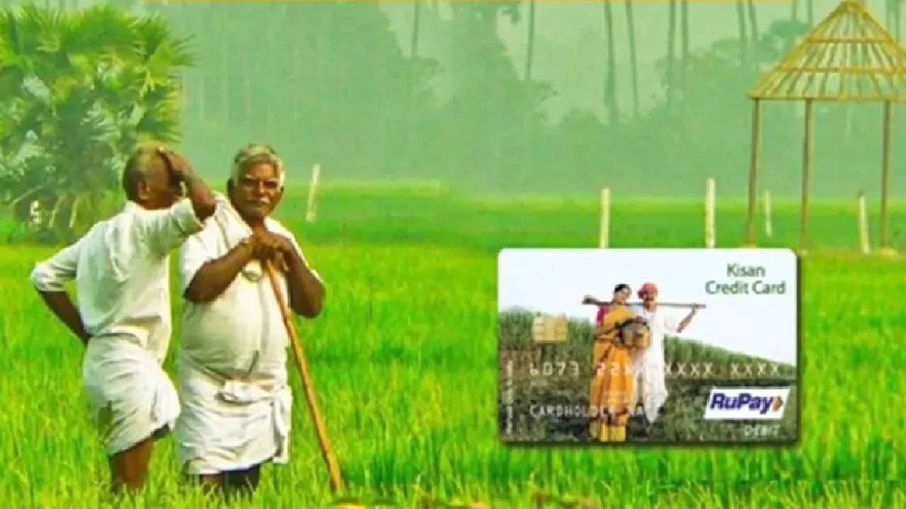 फार्मर आयडीमध्ये शेतकऱ्यांची संपूर्ण माहिती जतन करुन ठेवण्यात येते. शेतकऱ्यांची जमीन कोणत्या दिशेला आहे. जमिनीचे क्षेत्रफळ किती आहे. सध्या शेतकऱ्याच्या शेतात कोणते पीक आहे. वर्षभरात तो कोणत्या पिकाची लागवड करतो याची माहिती फार्मर आयडीत असते. त्यामुळे पीएम किसान योजनेचा लाभ योग्य लाभार्थ्यांना मिळत असल्याची सरकारला खात्री पटेल.