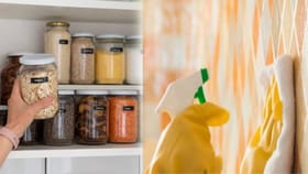 स्वयंपाकघरातील डबे झालेत पिवळसर आणि चिकट? करा हे 3 सोपे उपाय.