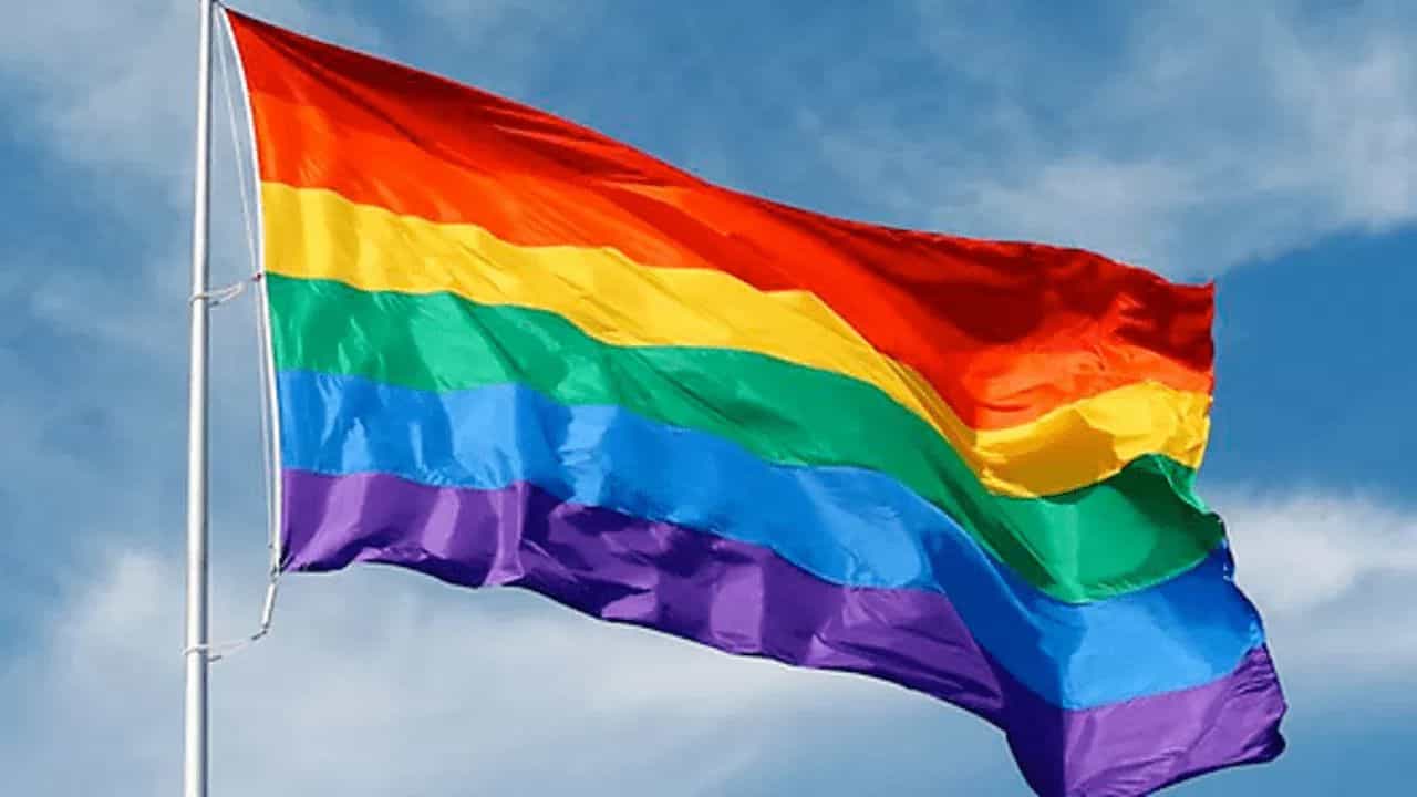 ...म्हणून देशात समलैंगिकता वाढते, भर संसदेत मंत्र्यानं दिलं असं उत्तर, खासदार कोमात