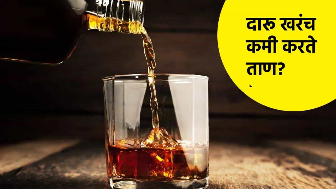 Liquor: दारू खरंच कमी करते ताण? कॉफी पिल्याने मूड होतो छान? तज्ज्ञांकडूनच समजून घ्या
