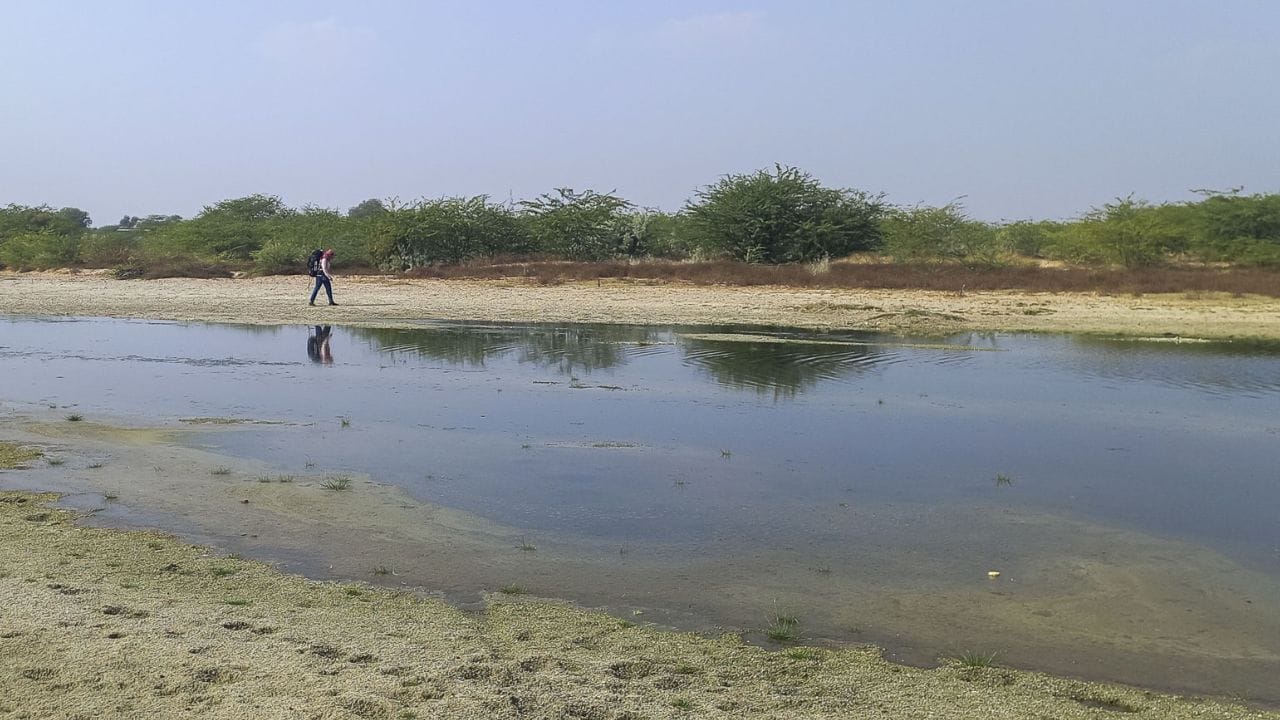 उगम आणि प्रवाह : लुनी ही अशी नदी आहे जी कधीही समुद्राला मिळत नाही. या नदीचा उगम राजस्थानमधील अजमेर जवळील अरवली पर्वतरांगांमधील 'नागा' टेकड्यांवर होतो. ती राजस्थानमधून वाहत गुजरातमध्ये प्रवेश करते.