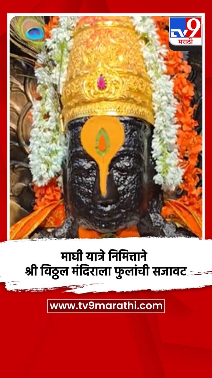 माघी यात्रे निमित्ताने श्री विठ्ठल मंदिराला फुलांची सजावट