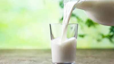 दुधाची ऍलर्जी असलेल्या लोकांनी दहीचे सेवन करावे की नाही? जाणून घ्या....