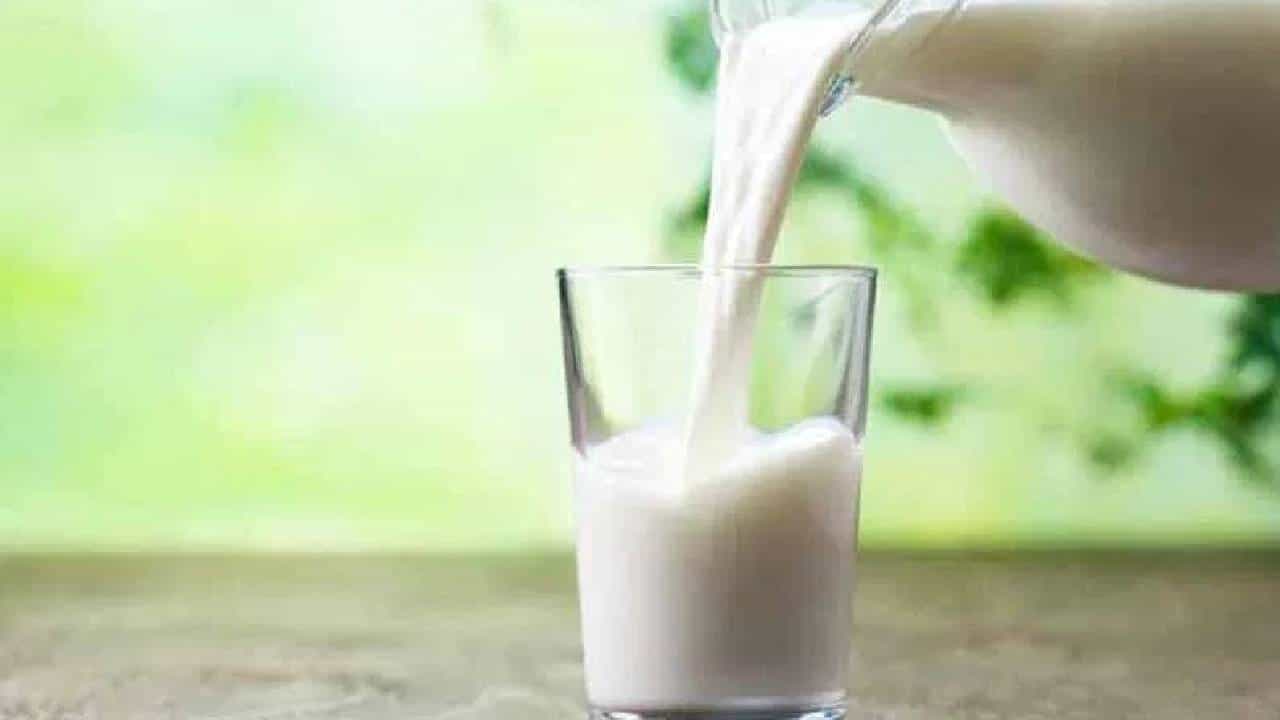 दुधाची ऍलर्जी असलेल्या लोकांनी दहीचे सेवन करावे की नाही? जाणून घ्या....