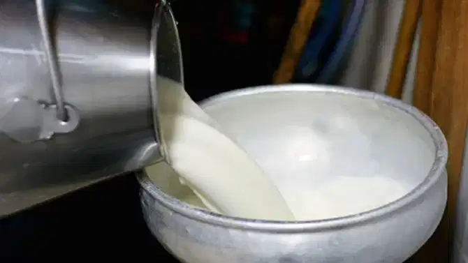 दूध आहे की विष? मुंबईतील धक्कादायक प्रकार! दुध बनवण्यासाठी थेट डिटर्जंट पावडर, युरियाचा वापर