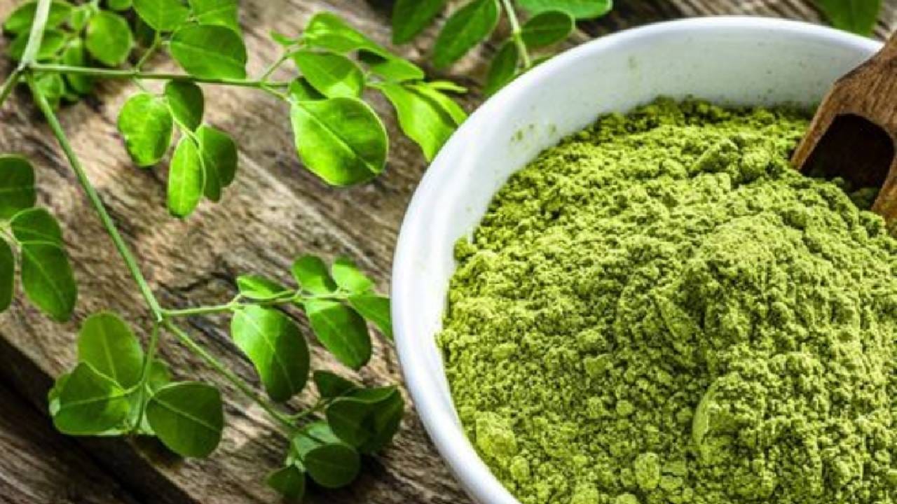 मोरींगा पावडर हिवाळ्यात खाल्ल्यामुळे शरीराला काय फायदे होतात? मोरींगा पावडर हिवाळ्यात खाल्ल्यामुळे शरीराला काय फायदे होतात?