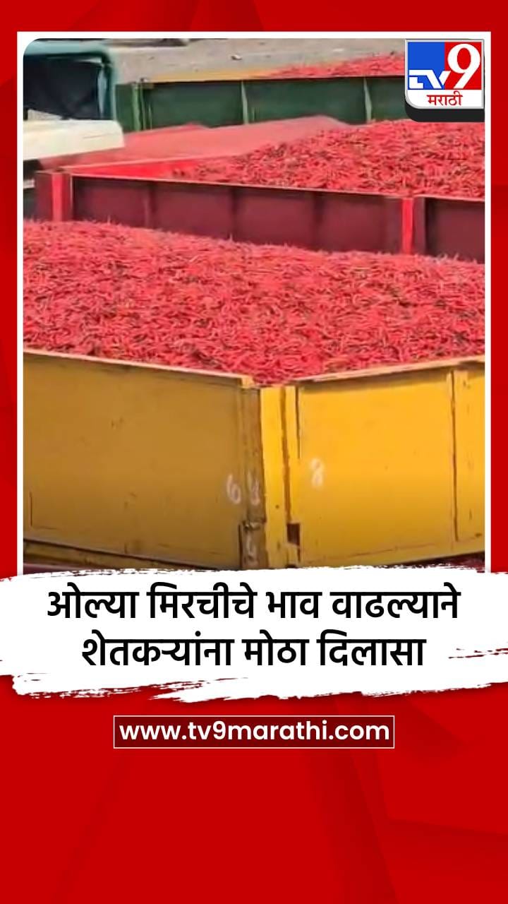 ओल्या मिरचीचे भाव वाढल्याने शेतकऱ्यांना मोठा दिलासा