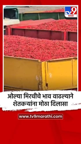 ओल्या मिरचीचे भाव वाढल्याने शेतकऱ्यांना मोठा दिलासा.