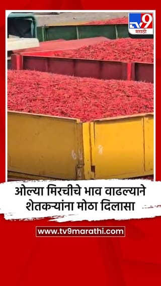 ओल्या मिरचीचे भाव वाढल्याने शेतकऱ्यांना मोठा दिलासा