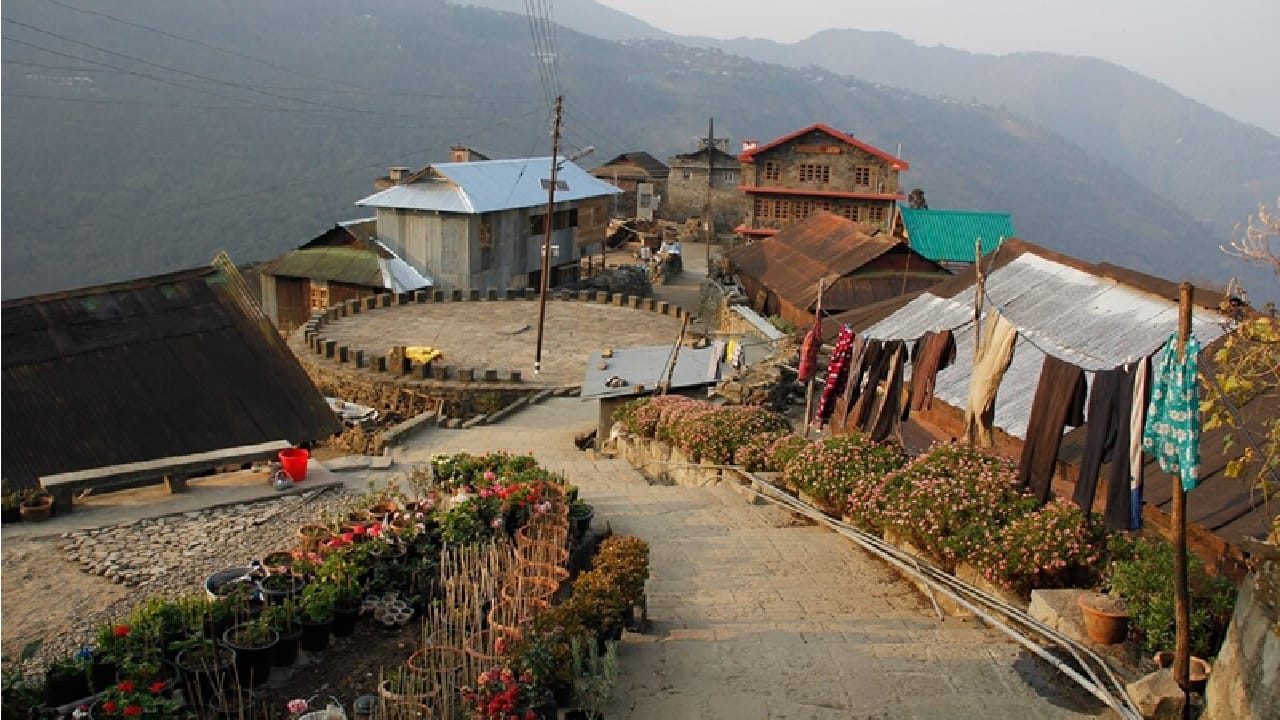 खोनोमाची सर्वात आश्चर्यकारक बाब म्हणजे येथील दुकाने दुकानदारांशिवाय चालतात. गावात अनेक अशी छोटी दुकाने आहेत, जिथे कोणीही बसलेलं नसतं. प्रत्येक वस्तूवर तिची किंमत लिहिलेली असते. कोणालाही काही घ्यायचं असल्यास ते सामान उचलतात आणि त्याचे पैसे तिथेच ठेवून पुढे जातात.