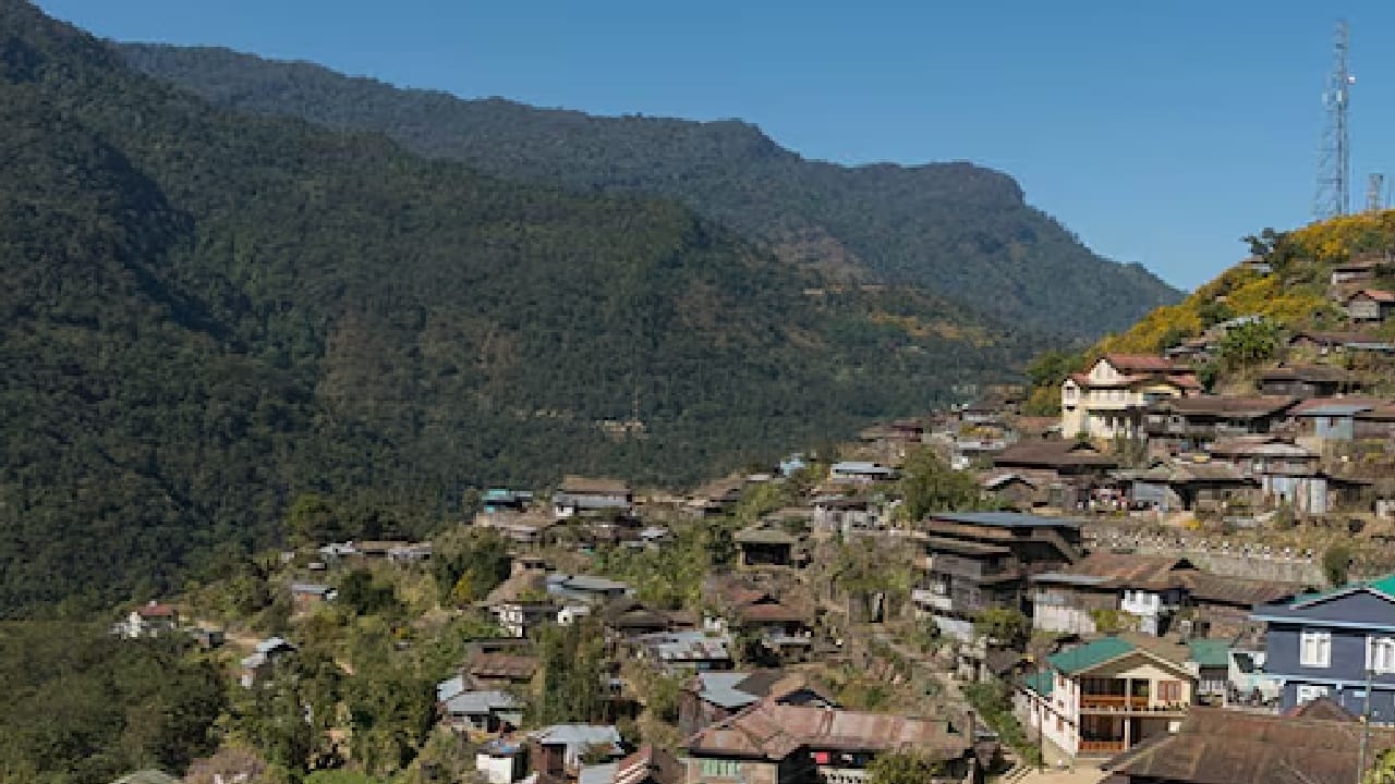 सुमारे 20 चौरस किलोमीटर क्षेत्रफळात पसरलेल्या या गावात अंगामी नागा ही आदिवासी जमात राहते. 2011 च्या जनगणनेनुसार, येथे सुमारे 1,900 लोकसंख्या आणि 424 घरे आहेत. एकेकाळी शिकारीवर अवलंबून असलेलं हे गाव, 1998 मध्ये शिकारीवर बंदी घातल्यानंतर पूर्णपणे बदललं आणि पर्यावरणसंवर्धनाच्या दिशेने वाटचाल करू लागलं.