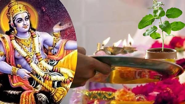 षटतिला एकादशीला तुळशीशी संबंधित या चुका टाळा, अन्यथा तुम्हाला मिळणार नाहीत पूर्ण लाभ