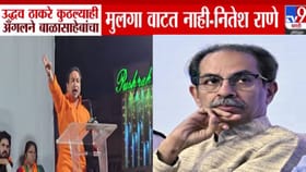 उद्धव ठाकरे बाळासाहेबांच्या मुलगा वाटत नाही, नितेश राणेंची जहरी टीका.