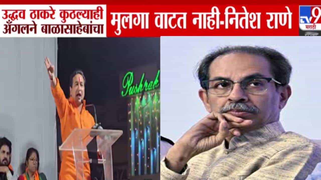 Nitesh Rane : उद्धव ठाकरे बाळासाहेबांच्या मुलगा वाटत नाही, कुठं हा कार्टा जिहाद्यांसोबत....नितेश राणे यांची जहरी टीका