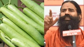 दूधी भोपळा कोणत्या आजारांवर गुणकारी ? बाबा रामदेव म्हणाले की.....