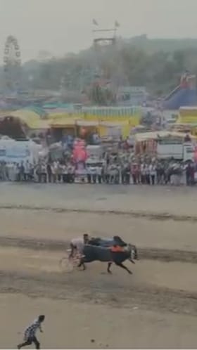 अमरावती : बहिरम यात्रेत आमदार प्रवीण तायडे यांच्या आमदार हिंद केसरी जंगी शंकरपटाचे आयोजन