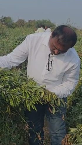 यवतमाळ : अनोख्या पध्दतीने तुरीची लागवड करून शेतकऱ्याची 10 लाखांची कमाई.