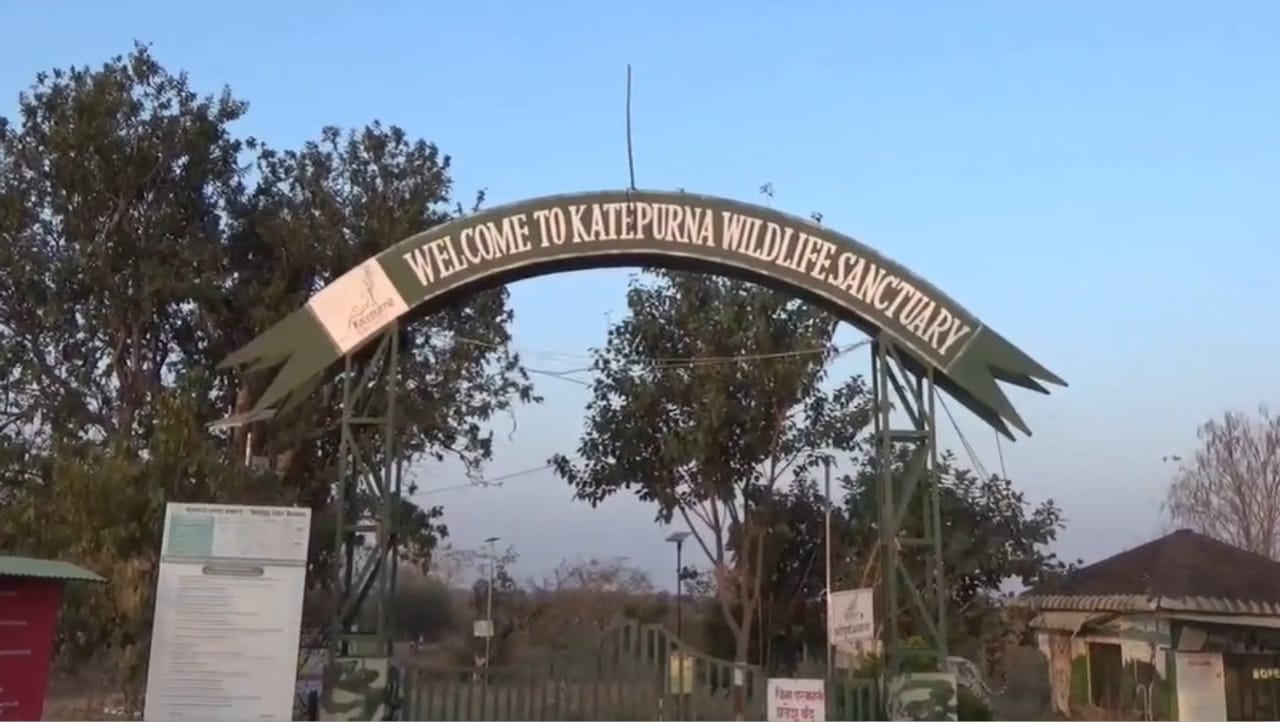 काटेपूर्णा जलाशयातील मानवनिर्मित द्वीपावर शेकडो पाणपक्ष्यांचा वावर कायमस्वरूपी पाहायला मिळतो.या पार्श्वभूमीवर आज संपूर्ण आशिया खंडात एकाच वेळी पाणपक्षी गणना करण्यात येत असून, काटेपूर्णा अभयारण्यातील जलाशयावरही पक्ष्यांची संख्या व प्रजातींची सविस्तर नोंद वाशीम आणि अकोला जिल्ह्यातील पक्षी अभ्यासकांमार्फत घेतली जात आहे. 