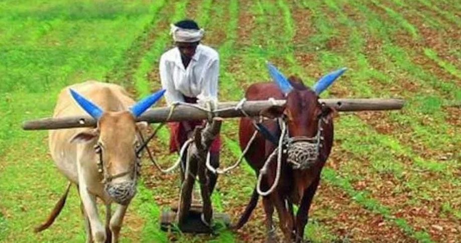 दरम्यान शेतकरी सन्मान निधीमध्ये वाढ केली जावी, अशी मागणी गेल्या बऱ्याच दिवसांपासून शेतकरी करत आहेत. त्यामुळे शेतकऱ्यांना दिला जाणारा निधी 6000 रुपयांवरून 9000 रुपये केला जाणार का? असे विचारले जात आहे. 