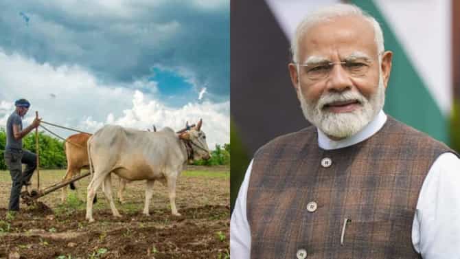 शेतकऱ्यांसाठी आनंदाची बातमी! PM किसानचा 22 वा हप्ता कधी मिळणार? तारखेबाबत मोठी अपडेट समोर