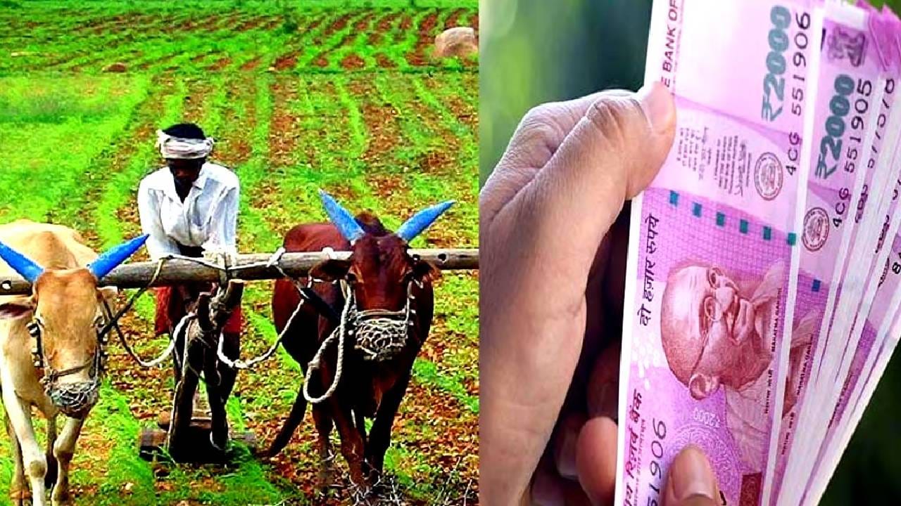 एम किसान योजनेत बोगस लाभार्थ्यांना चाप बसावा यासाठी ईकेवायसी करणे सक्तीचे करण्यात आले आहे. तर आता फार्मर आयडीची सुद्धा सक्ती करण्यात आली आहे. फार्मर आयडी हा शेतकऱ्यांचा डिजिटल प्रोफाईल आहे. या ओळखपत्राआधारे योग्य शेतकऱ्यांना या योजनेचा लाभ देण्यात येईल.