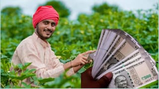 PM Kisan Yojana: शेतकऱ्यांना लॉटरी! खात्यात येणार 4,000 रुपये? बजेटची ती मोठी वार्ता काय?