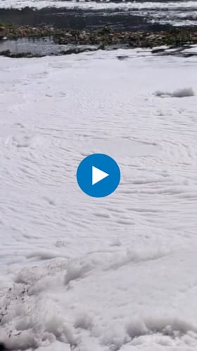 देवाच्या आळंदीत इंद्रायणी पुन्हा फेसाळली...; धक्कादायक व्हिडीओ आला समोर.