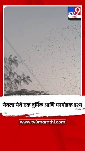 येवला येथे एक दुर्मिळ आणि मनमोहक दृश्य.