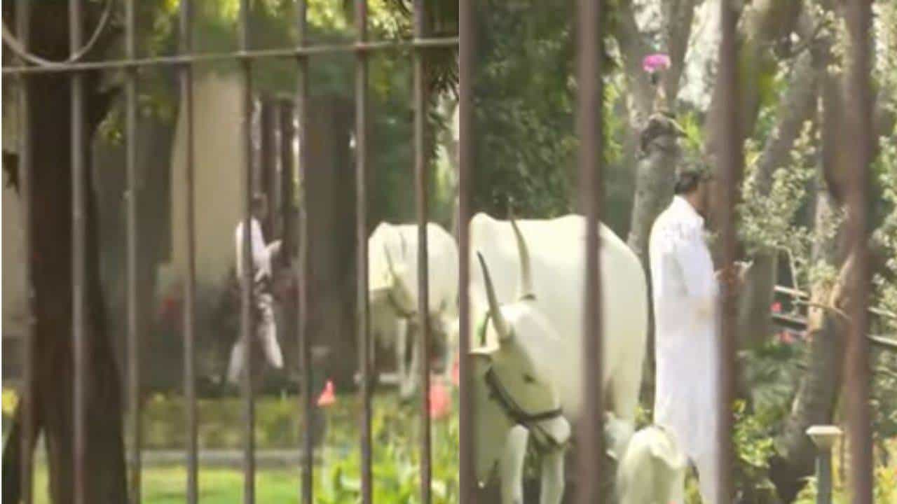 पार्थ पवार यांनी दूर केली शरद पवार यांची नाराजी? बारामतीमधील बैठकीनंतर थेट सुनेत्रा पवार यांना फोन आणि...