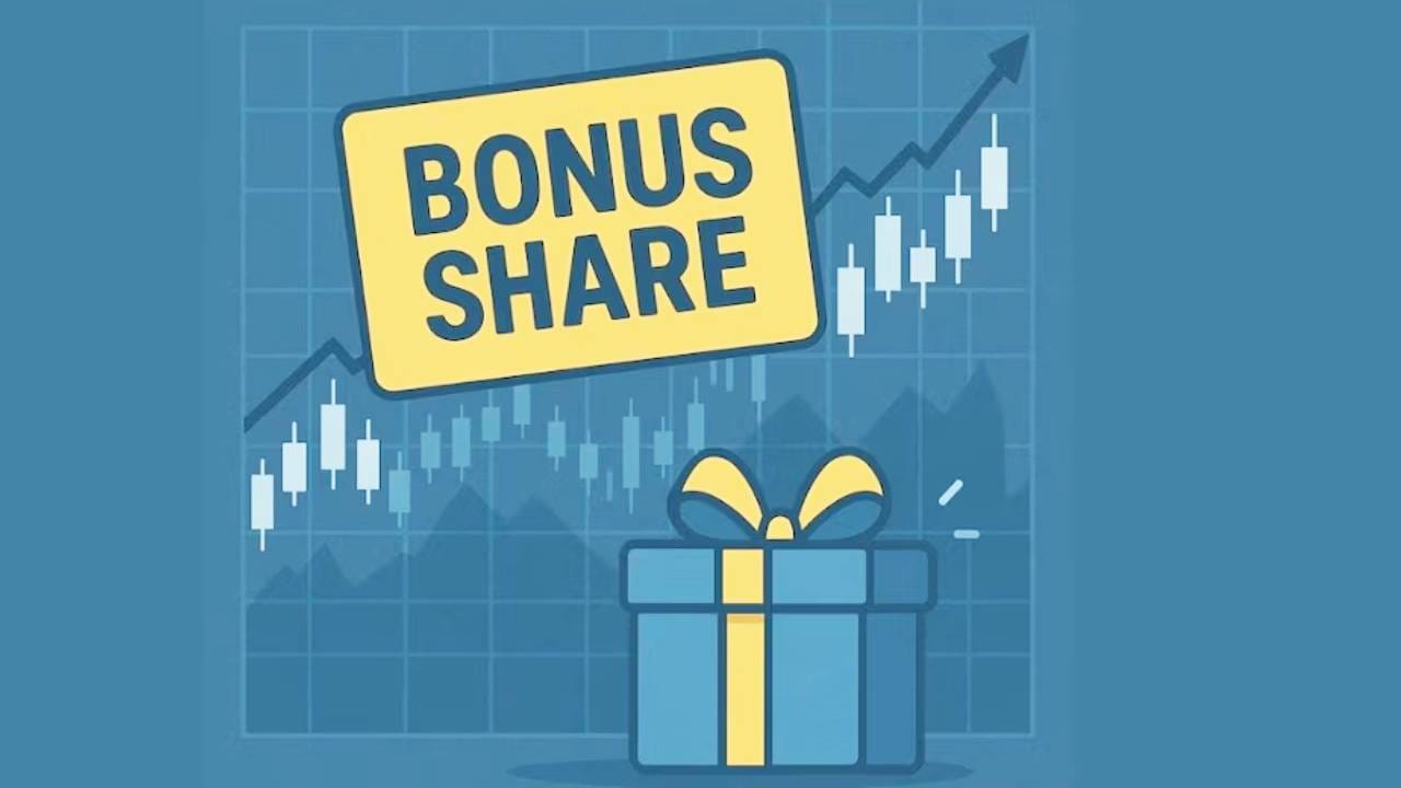 कंपनीने केवळ बोनस शेअरचेच गिफ्ट दिले नाही. तर एक्सिटा कॉटन लिमिटेडने 2024 मध्ये प्रत्येक शेअरवर 0.10 रुपयांचा लाभांश जाहीर केला होता. तर त्यापूर्वी 2023 मध्ये कंपनीने प्रत्येक शेअरवर 0.10 रुपयांचा डिव्हिडंड जाहीर केला. त्याचा गुंतवणूकदारांना फायदा झाला.