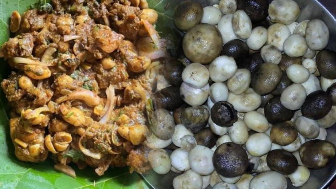 Maguda Rugda GK : असं मटण जे शाकाहारी लोकही आवडीने खातात, चव एकदम भारी; नाव वाचून ...