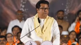 कुणाच्या सोंगट्या कुणाच्या भोकात आहे हेच कळत नाही... राज ठाकरे बरसले