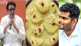 'विजयाची रसमलाई...', BMC निकालानंतर युजर्सना राज ठाकरेंची आठवण.